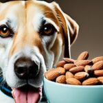 Can-Dogs-Eat-Almonds