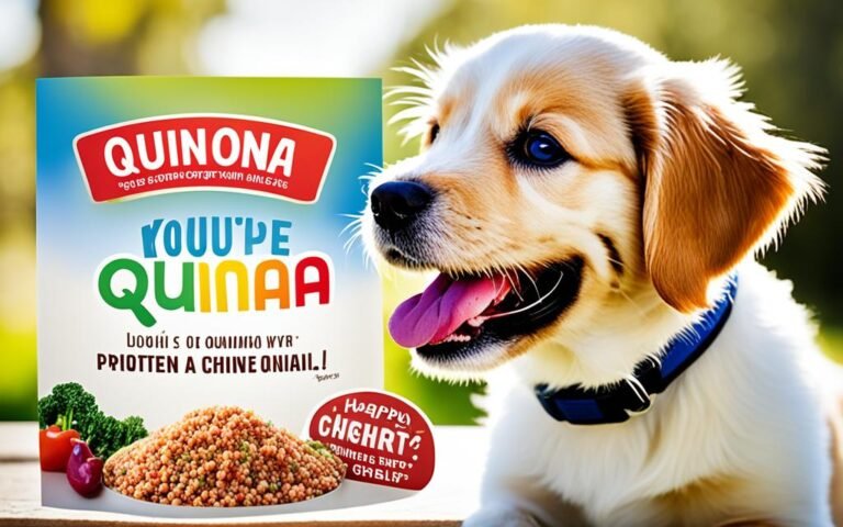 can dogs eat quinoa