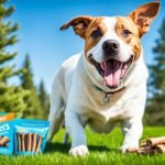 natural-dog-chews